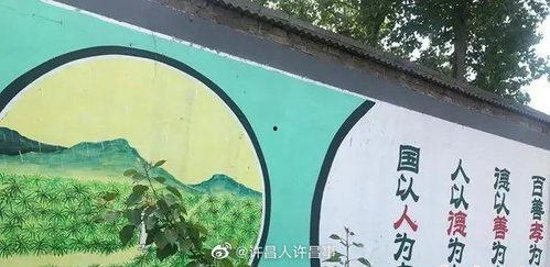 禹州最新爆料新闻视频,揭秘神秘事件背后的真相 第1张 禹州最新爆料新闻视频,揭秘神秘事件背后的真相 第1张